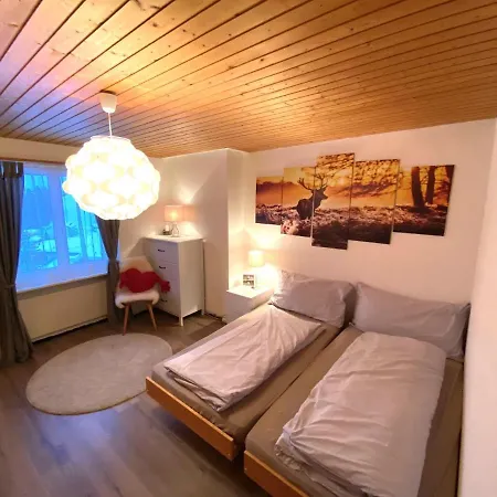 Apartment Haus Trynsch *